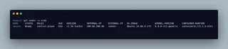 K3s Node Status showing Tailscale IP